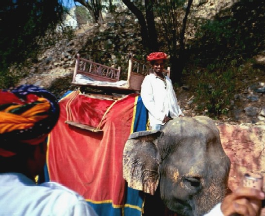 amberfort14.jpg