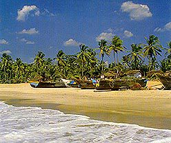 goa.jpg