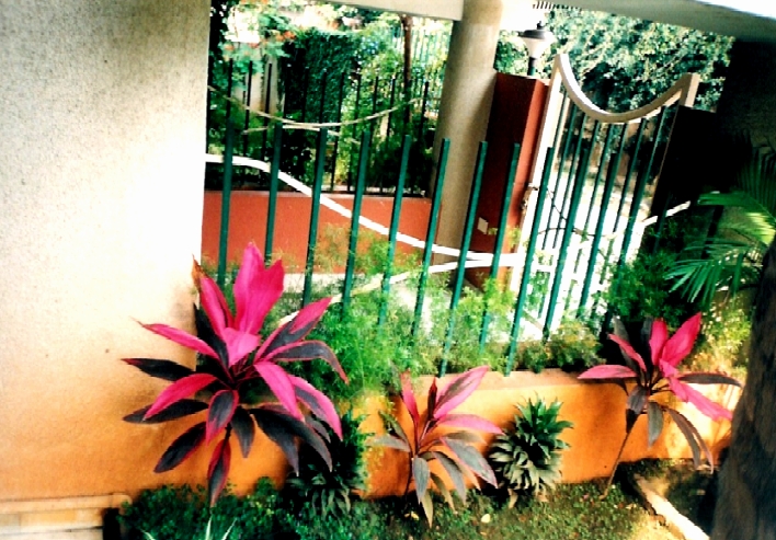 jardin2.jpg